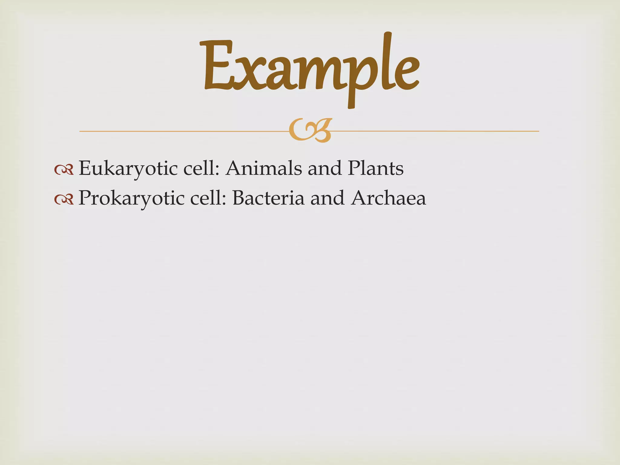 
Eukaryotic cell: Animals and Plants
Prokaryotic cell: Bacteria and Archaea
Example