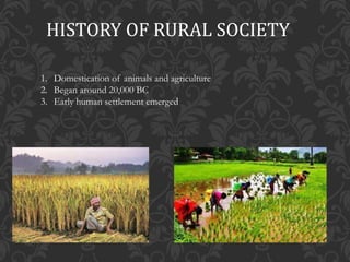 Difference between rural and urban society
