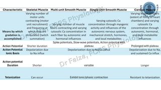 Difference Between Skeletal Smooth and Cardiac Muscles | PDF