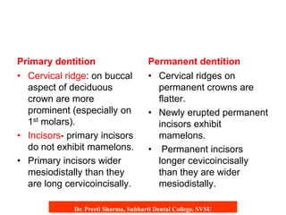 Difference between permanent and deciduous teeth.pdf