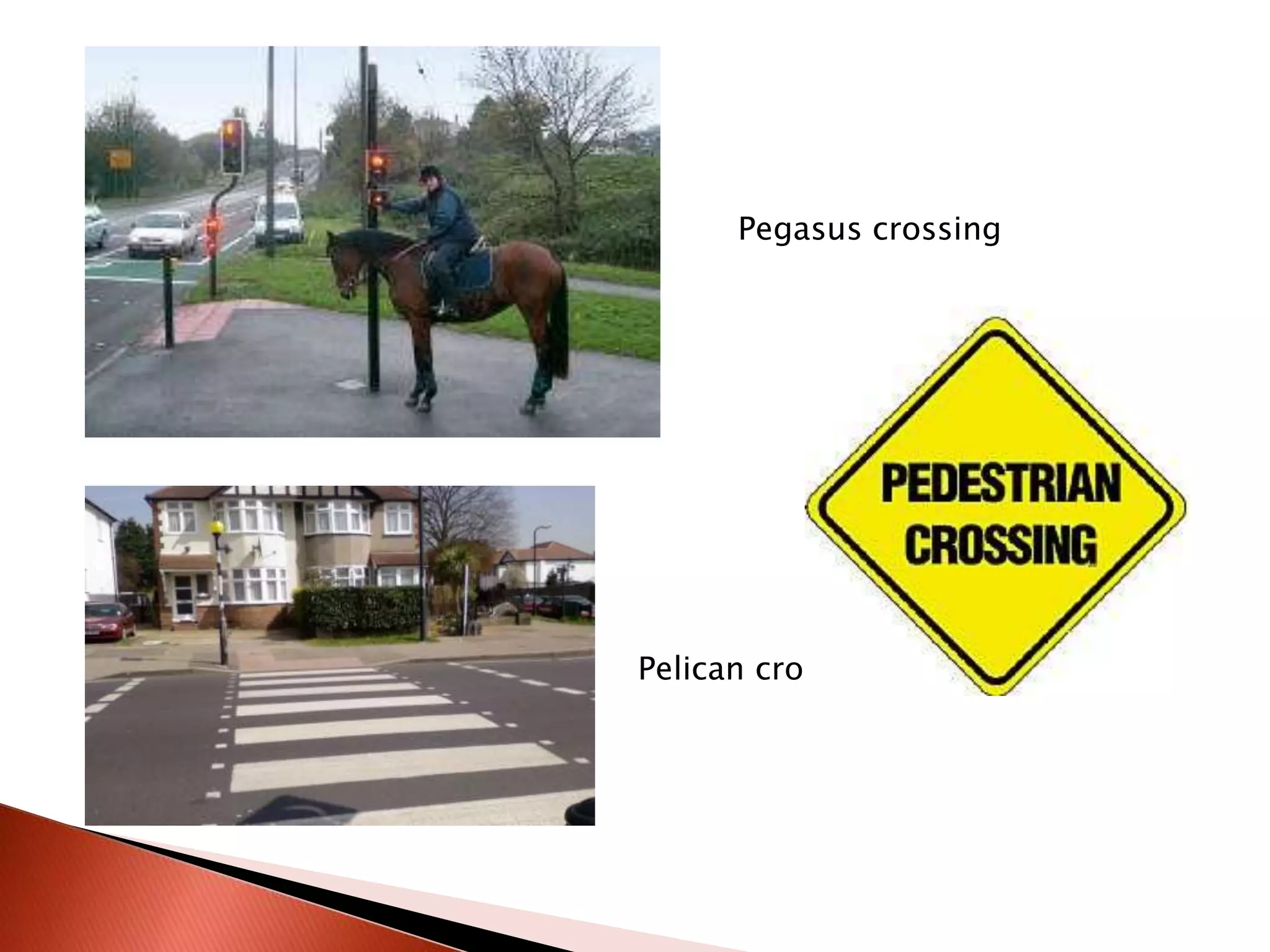 PegasuscrossingPelican crossing