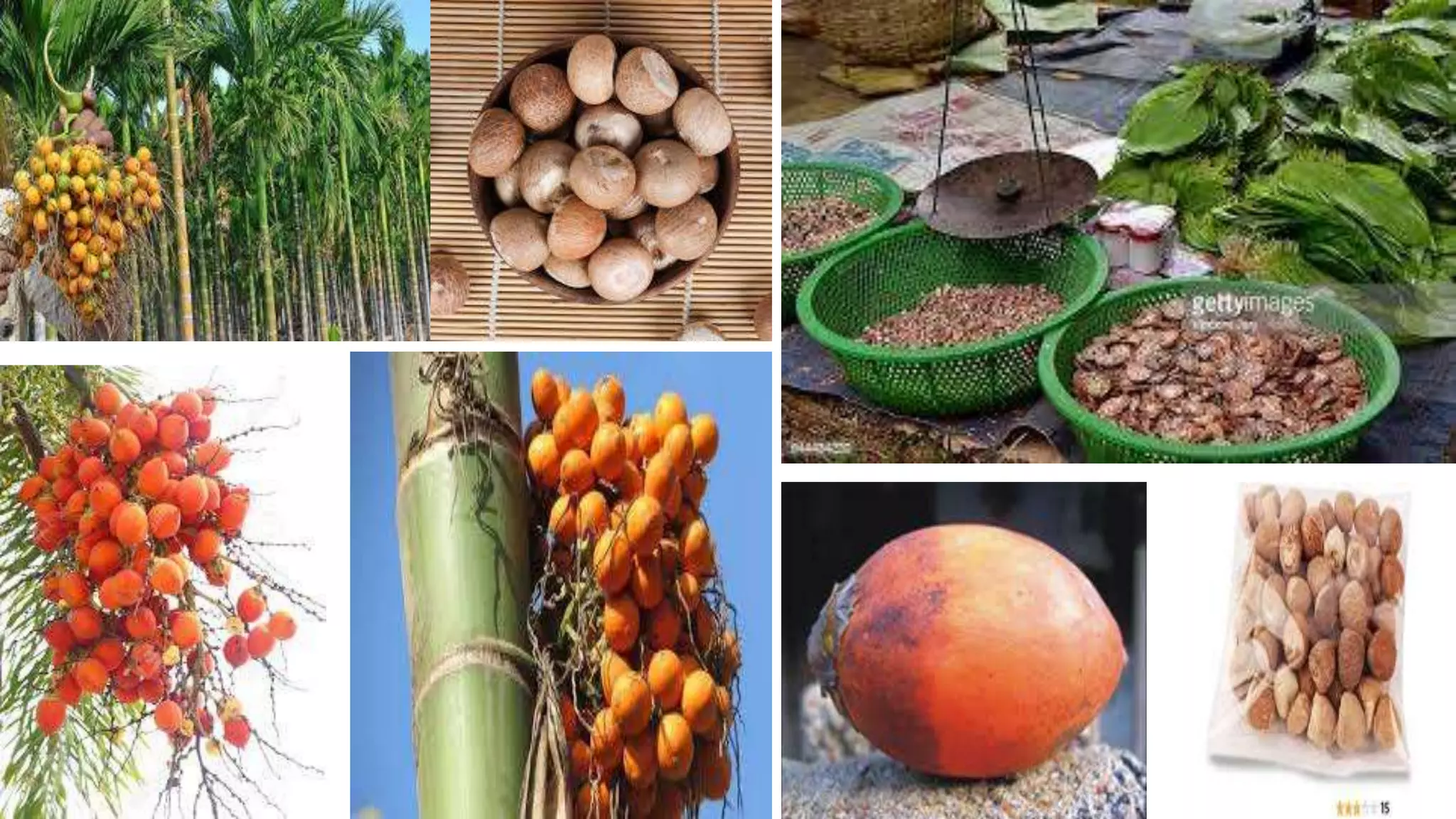 Differences between PFA, 1954 and FSSA, 2006 | PPTX