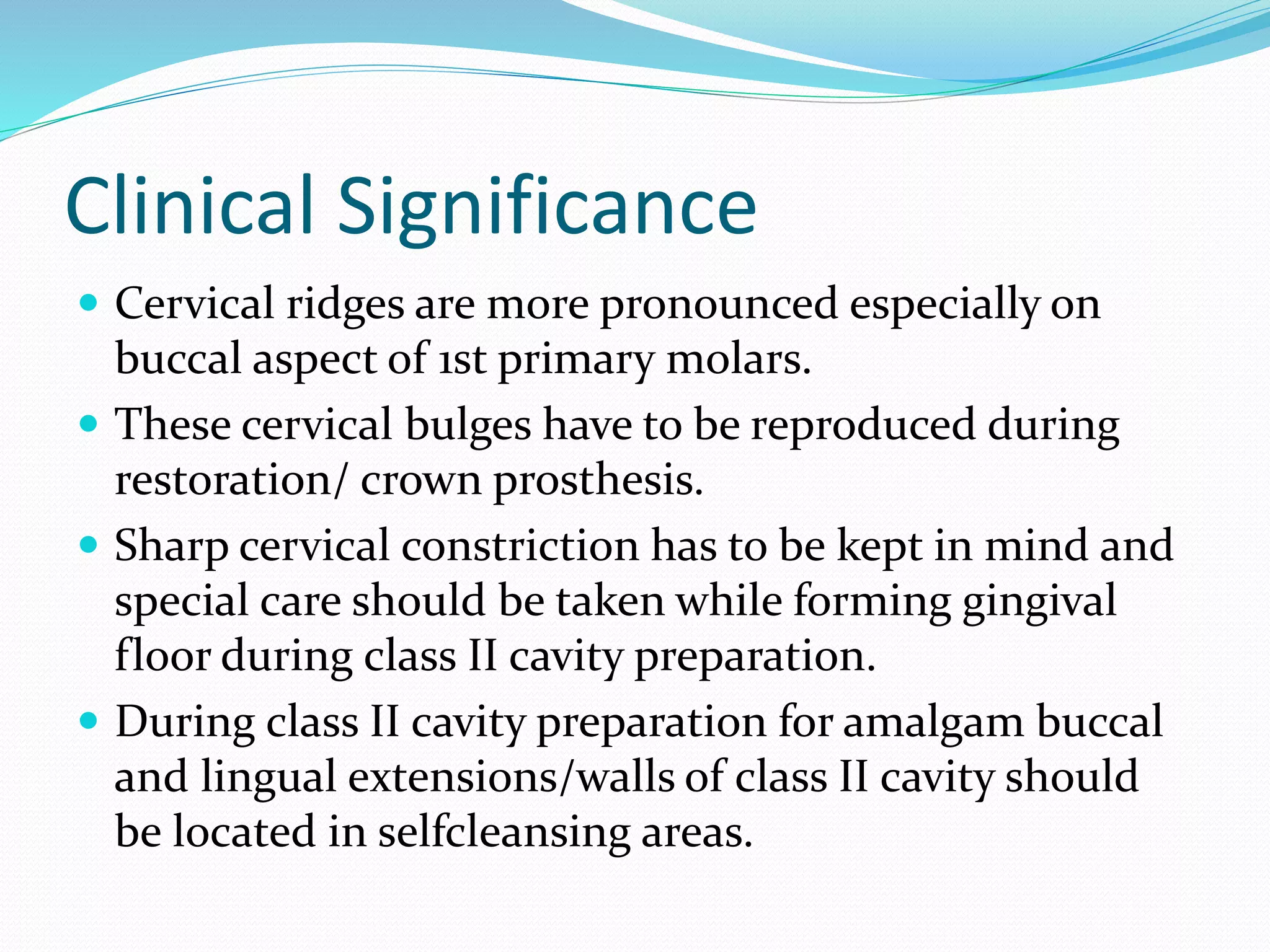 Primaryb Rudge's Differences between primary and permanent dentition | PPTX