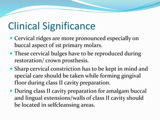 Clinical Significance
 Cervical ridges are more pronounced especially on
buccal aspect of 1st primary molars.
 These cervical bulges have to be reproduced during
restoration/ crown prosthesis.
 Sharp cervical constriction has to be kept in mind and
special care should be taken while forming gingival
floor during class II cavity preparation.
 During class II cavity preparation for amalgam buccal
and lingual extensions/walls of class II cavity should
be located in selfcleansing areas.
 