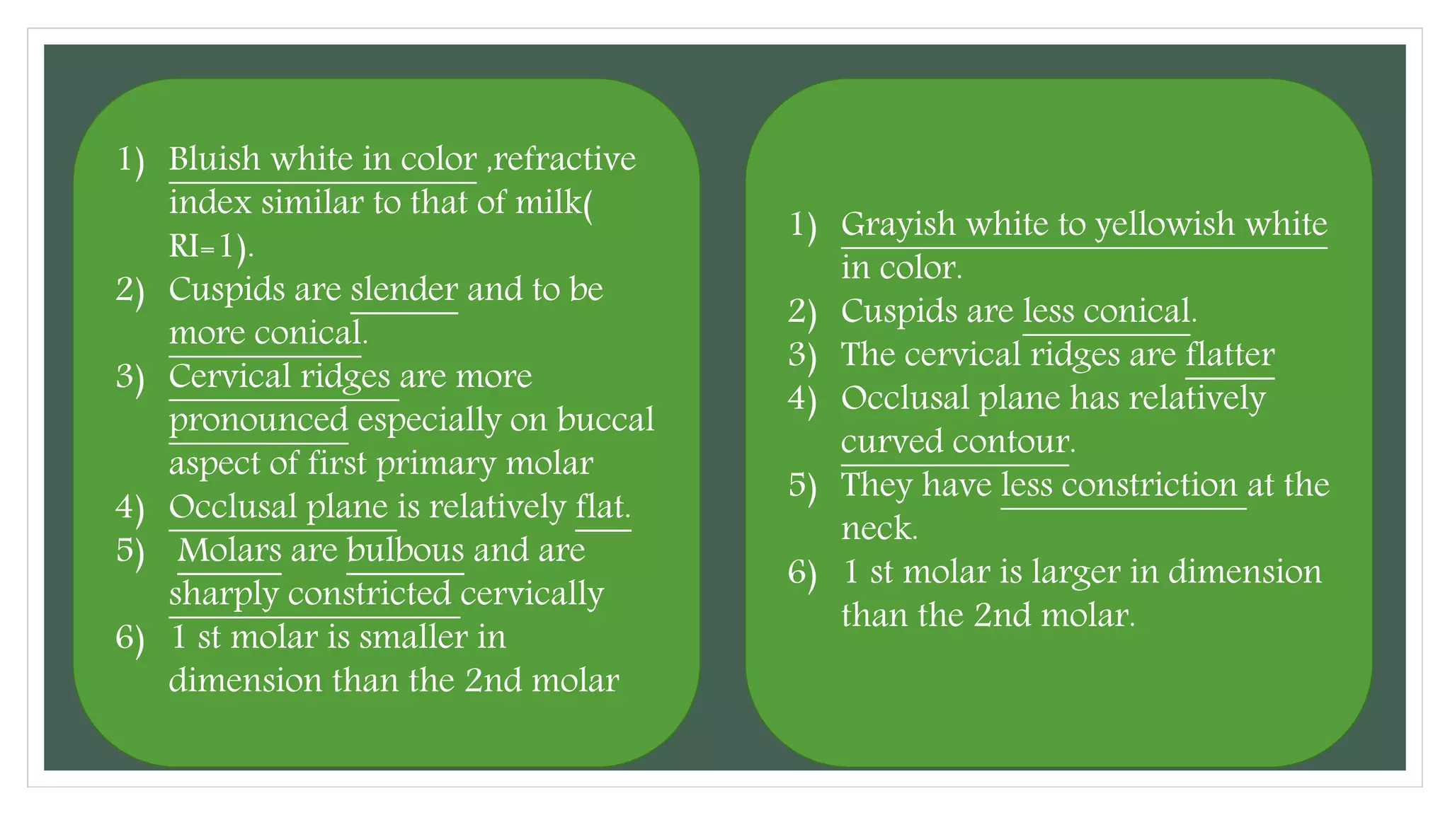 Differences between primary and permanent teeth and importance | PPTX