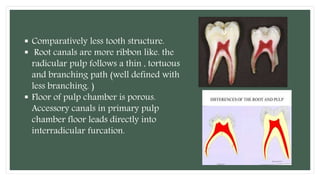Differences between primary and permanent teeth and importance | PPTX
