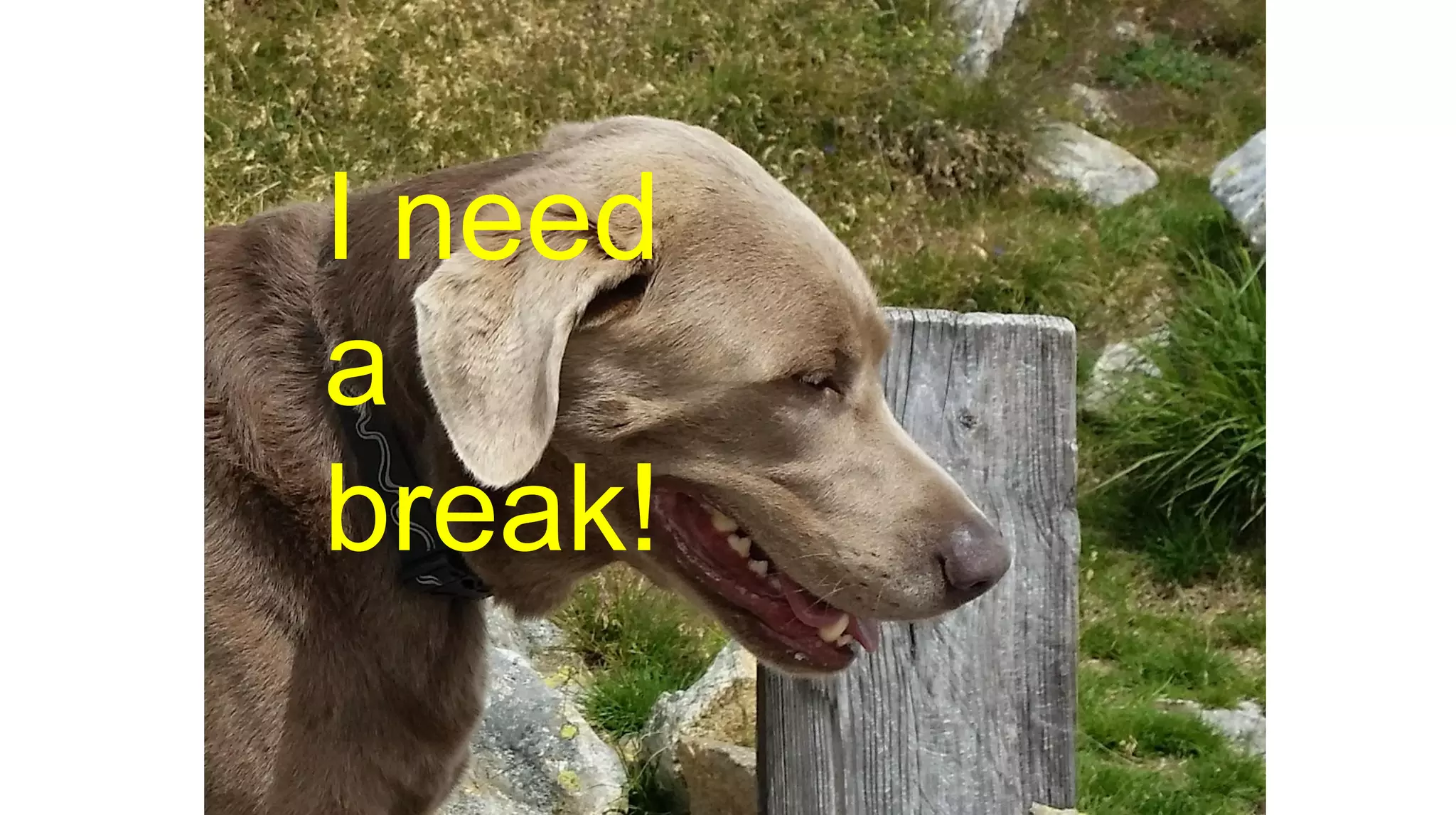 I need
a
break!
 