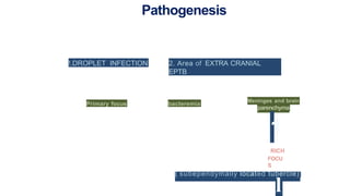Pathogenesis
!.DROPLET INFECTION 2. Area of EXTRA CRANIAL
EPTB
Primary focus bacteremia
Meninges and brain
parenchyma
1
RICH
FOCU
S
( subependymally located tubercle)
l
 