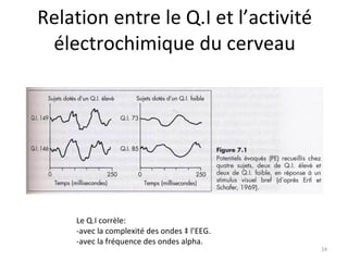 Relation entre le Q.I et l’activité électrochimique du cerveau Le Q.I corrèle:  -avec la complexité des ondes à l’EEG. -avec la fréquence des ondes alpha. 
