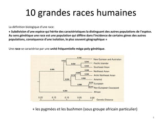 10 grandes races humaines La définition biologique d'une race: « Subdivision d'une espèce qui hérite des caractéristiques la distinguant des autres populations de l'espèce. Au sens génétique une race est une population qui diffère dans l'incidence de certains gènes des autres populations, conséquence d'une isolation, le plus souvent géographique » Une  race  se caractérise par une  unité fréquentielle méga-poly-génétique . + les pygmées et les bushmen (sous groupe africain particulier) 