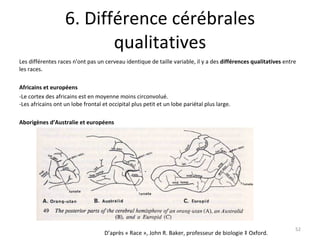 6. Différence cérébrales qualitatives Les différentes races n'ont pas un cerveau identique de taille variable, il y a des  différences qualitatives  entre les races.  Africains et européens -Le cortex des africains est en moyenne moins circonvolué. -Les africains ont un lobe frontal et occipital plus petit et un lobe pariétal plus large. Aborigènes d’Australie et européens D’après « Race », John R. Baker, professeur de biologie à Oxford. 