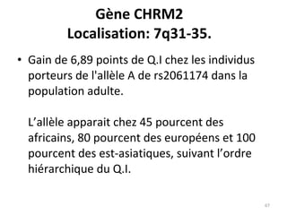 Gène CHRM2 Localisation: 7q31-35. Gain de 6,89 points de Q.I chez les individus porteurs de l'allèle A de rs2061174 dans la population adulte. L’allèle apparait chez 45 pourcent des africains, 80 pourcent des européens et 100 pourcent des est-asiatiques, suivant l’ordre hiérarchique du Q.I. 