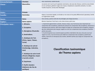 Classification taxinomique  de l'homo sapiens Rang Quelques charactéristiques… Emranchement : Chordata Avec notochorde, mo...