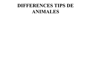 DIFFERENCES TIPS DE
ANIMALES
 