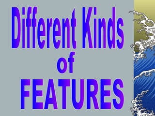 Different Kinds of FEATURES 