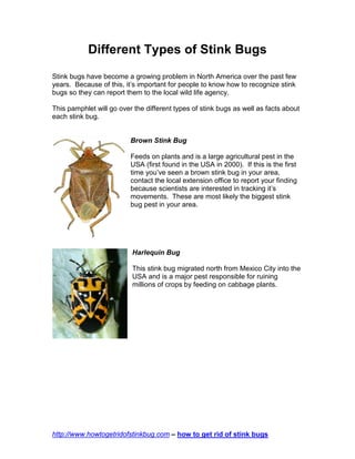 Different Types of Stink Bugs
Stink bugs have become a growing problem in North America over the past few
years. Because of this, it’s important for people to know how to recognize stink
bugs so they can report them to the local wild life agency.

This pamphlet will go over the different types of stink bugs as well as facts about
each stink bug.


                          Brown Stink Bug

                          Feeds on plants and is a large agricultural pest in the
                          USA (first found in the USA in 2000). If this is the first
                          time you’ve seen a brown stink bug in your area,
                          contact the local extension office to report your finding
                          because scientists are interested in tracking it’s
                          movements. These are most likely the biggest stink
                          bug pest in your area.




                          Harlequin Bug

                          This stink bug migrated north from Mexico City into the
                          USA and is a major pest responsible for ruining
                          millions of crops by feeding on cabbage plants.




http://www.howtogetridofstinkbug.com – how to get rid of stink bugs
 