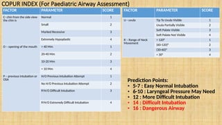 Copur Score Different Airway Indices & implication for Prediction Of Difficult ...