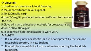  Clove oil:-
1.Used human dentistry & food flavoring.
2.Major constituent the oil eugenol.
3.40-120mg/lit. carp.
4.Low 2-5mg/lit. produced sedation sufficient to transport
the fish.
5.Clove oil is also effective anesthetic for crustaceans at
doses 100 to 200mg/lit.
6.In expensive & not unpleasant to work with.
 Aqi-STm
1. It si relatively new anesthetic for fish development by the seafood
research laboratory in new Zealand.
2. It would be a valuable tool to use when transporting live food fish
to market.
 