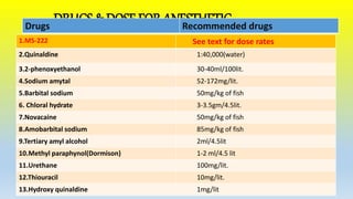DRUGS & DOSE FOR ANESTHETIC
1.MS-222 See text for dose rates
2.Quinaldine 1:40,000(water)
3.2-phenoxyethanol 30-40ml/100lit.
4.Sodium amytal 52-172mg/lit.
5.Barbital sodium 50mg/kg of fish
6. Chloral hydrate 3-3.5gm/4.5lit.
7.Novacaine 50mg/kg of fish
8.Amobarbital sodium 85mg/kg of fish
9.Tertiary amyl alcohol 2ml/4.5lit
10.Methyl paraphynol(Dormison) 1-2 ml/4.5 lit
11.Urethane 100mg/lit.
12.Thiouracil 10mg/lit.
13.Hydroxy quinaldine 1mg/lit
Drugs Recommended drugs
 