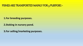 FISHES ARE TRANSPORTED MAINLY FOR 3 PURPOSE:-
1.For breeding purposes.
2.Stoking in nursery pond.
3.For selling/marketing purposes.
 