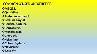COMMONLY USED ANESTHETICS:-
MS-222.
Quinidine.
2-phenoxyethanol.
Sodium amytal.
Barbital sodium.
Benzocaine.
Metomidate.
Clove oil.
Ketamine.
Chloral hydrate.
Novacaine
Aqui-stm
 
