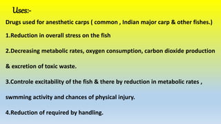 Uses:-
Drugs used for anesthetic carps ( common , Indian major carp & other fishes.)
1.Reduction in overall stress on the fish
2.Decreasing metabolic rates, oxygen consumption, carbon dioxide production
& excretion of toxic waste.
3.Controle excitability of the fish & there by reduction in metabolic rates ,
swmming activity and chances of physical injury.
4.Reduction of required by handling.
 