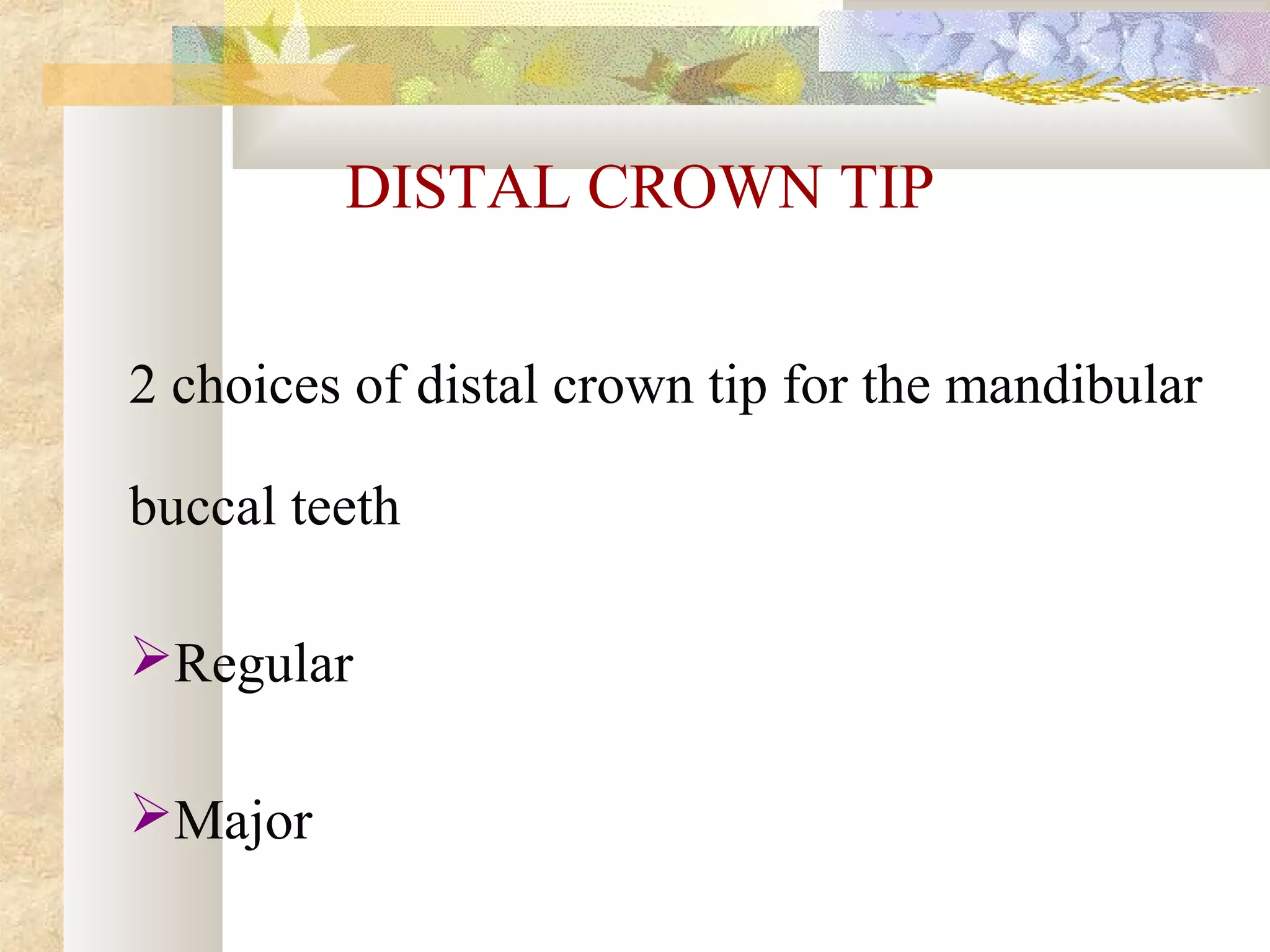 DISTAL CROWN TIP
2 choices of distal crown tip for the mandibular
buccal teeth
Regular
Major
 
