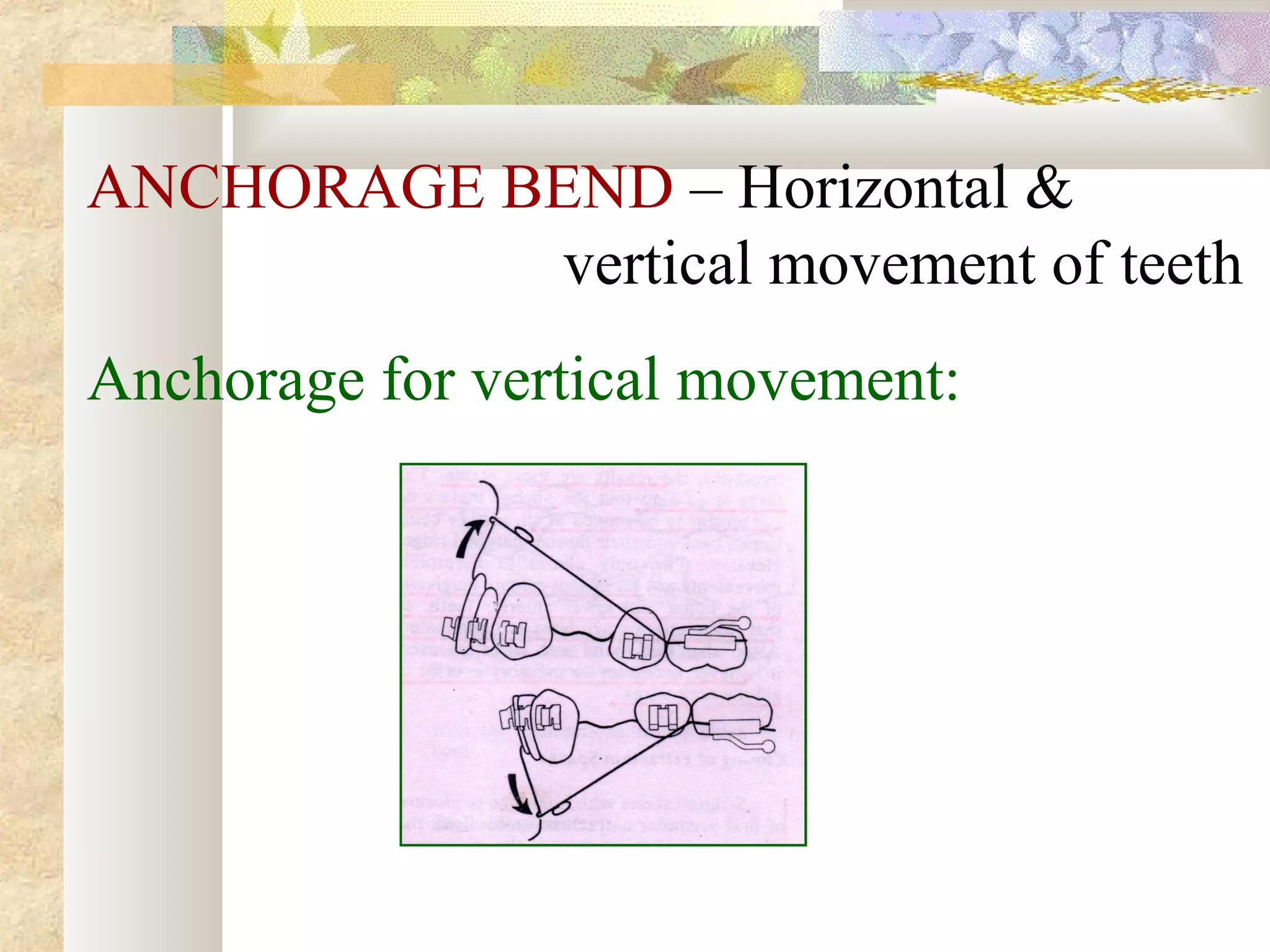 ANCHORAGE BEND – Horizontal &
vertical movement of teeth
Anchorage for vertical movement:
 