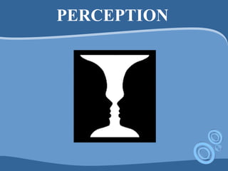 PERCEPTION
 