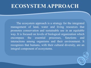 ECOSYSTEM APPROACH
The ecosystem approach is a strategy for the integrated
management of land, water and living resources that
promotes conservation and sustainable use in an equitable
way. It is focused on levels of biological organization which
encompass the essential processes, functions and
interactions among organisms and their environment. It
recognizes that humans, with their cultural diversity, are an
integral component of ecosystems.
 