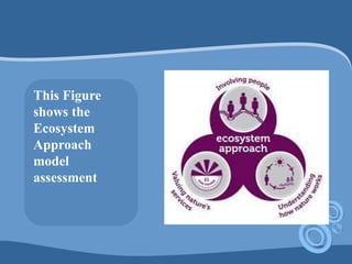 This Figure
shows the
Ecosystem
Approach
model
assessment
 