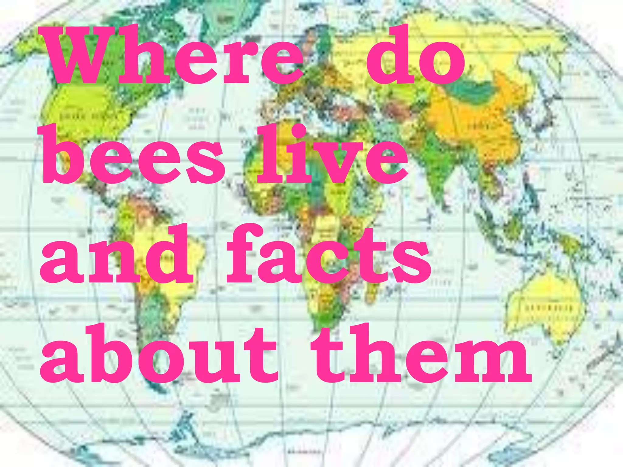 Where do
bees live
and facts
about them
 
