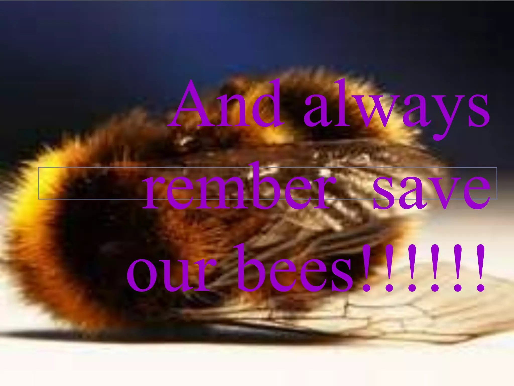 And always
rember save
our bees!!!!!!
 