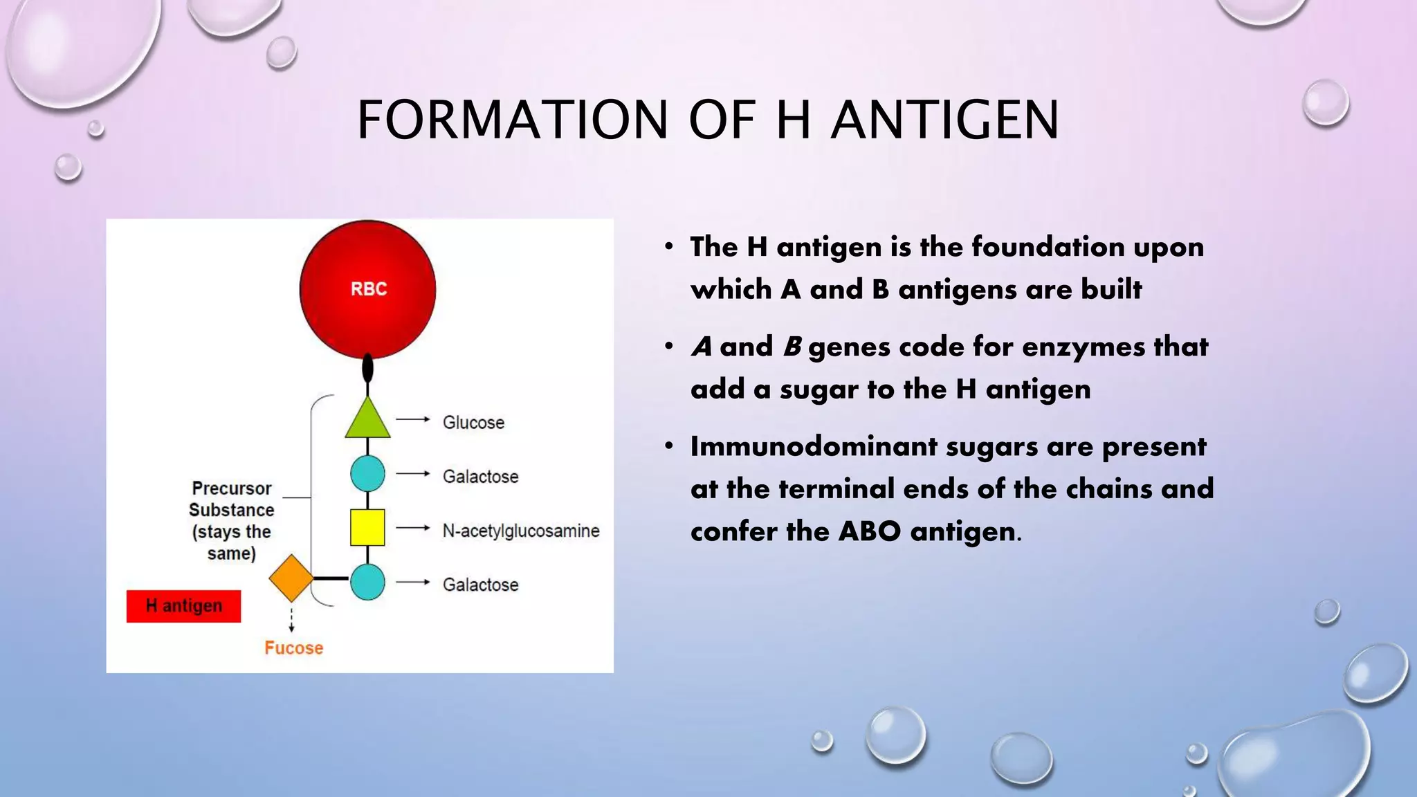 Different blood groups and their significance | PPTX