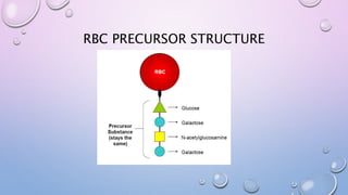RBC PRECURSOR STRUCTURE
 