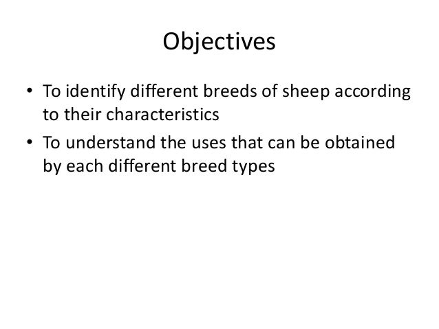 different breeds and their personalities different breeds of sheep and their characteristics different breeds and their personalities different breeds of sheep and their characteristics