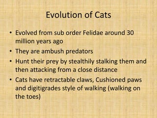 Evolution of Cats
• Evolved from sub order Felidae around 30
million years ago
• They are ambush predators
• Hunt their prey by stealthily stalking them and
then attacking from a close distance
• Cats have retractable claws, Cushioned paws
and digitigrades style of walking (walking on
the toes)
 