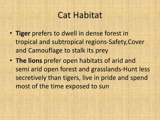 Cat Habitat
• Tiger prefers to dwell in dense forest in
tropical and subtropical regions-Safety,Cover
and Camouflage to stalk its prey
• The lions prefer open habitats of arid and
semi arid open forest and grasslands-Hunt less
secretively than tigers, live in pride and spend
most of the time exposed to sun
 