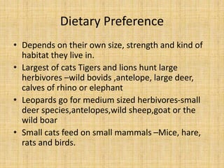 Dietary Preference
• Depends on their own size, strength and kind of
habitat they live in.
• Largest of cats Tigers and lions hunt large
herbivores –wild bovids ,antelope, large deer,
calves of rhino or elephant
• Leopards go for medium sized herbivores-small
deer species,antelopes,wild sheep,goat or the
wild boar
• Small cats feed on small mammals –Mice, hare,
rats and birds.
 