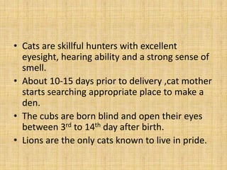 • Cats are skillful hunters with excellent
eyesight, hearing ability and a strong sense of
smell.
• About 10-15 days prior to delivery ,cat mother
starts searching appropriate place to make a
den.
• The cubs are born blind and open their eyes
between 3rd to 14th day after birth.
• Lions are the only cats known to live in pride.
 