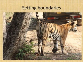 Setting boundaries
 