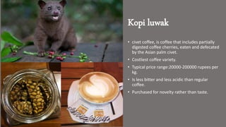 Kopi luwak
• civet coffee, is coffee that includes partially
digested coffee cherries, eaten and defecated
by the Asian palm civet.
• Costliest coffee variety.
• Typical price range:20000-200000 rupees per
kg.
• Is less bitter and less acidic than regular
coffee.
• Purchased for novelty rather than taste.
 