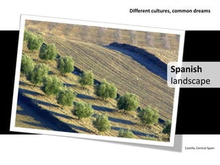 Different cultures, common dreams




                Spanish
                landscape




                      Castilla, Central Spain
 