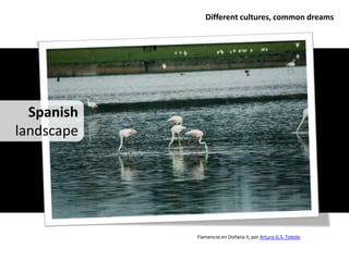 Different cultures, common dreams




  Spanish
landscape




            Flamencos en Doñana II, por Arturo.G.S. Toledo
 