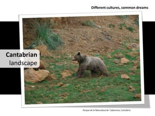 Different cultures, common dreams




Cantabrian
 landscape




             Parque de la Naturaleza de Cabárceno, Cantabria
 