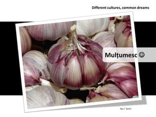 Different cultures, common dreams




       Mulțumesc 




                Ajo / Garlic
 