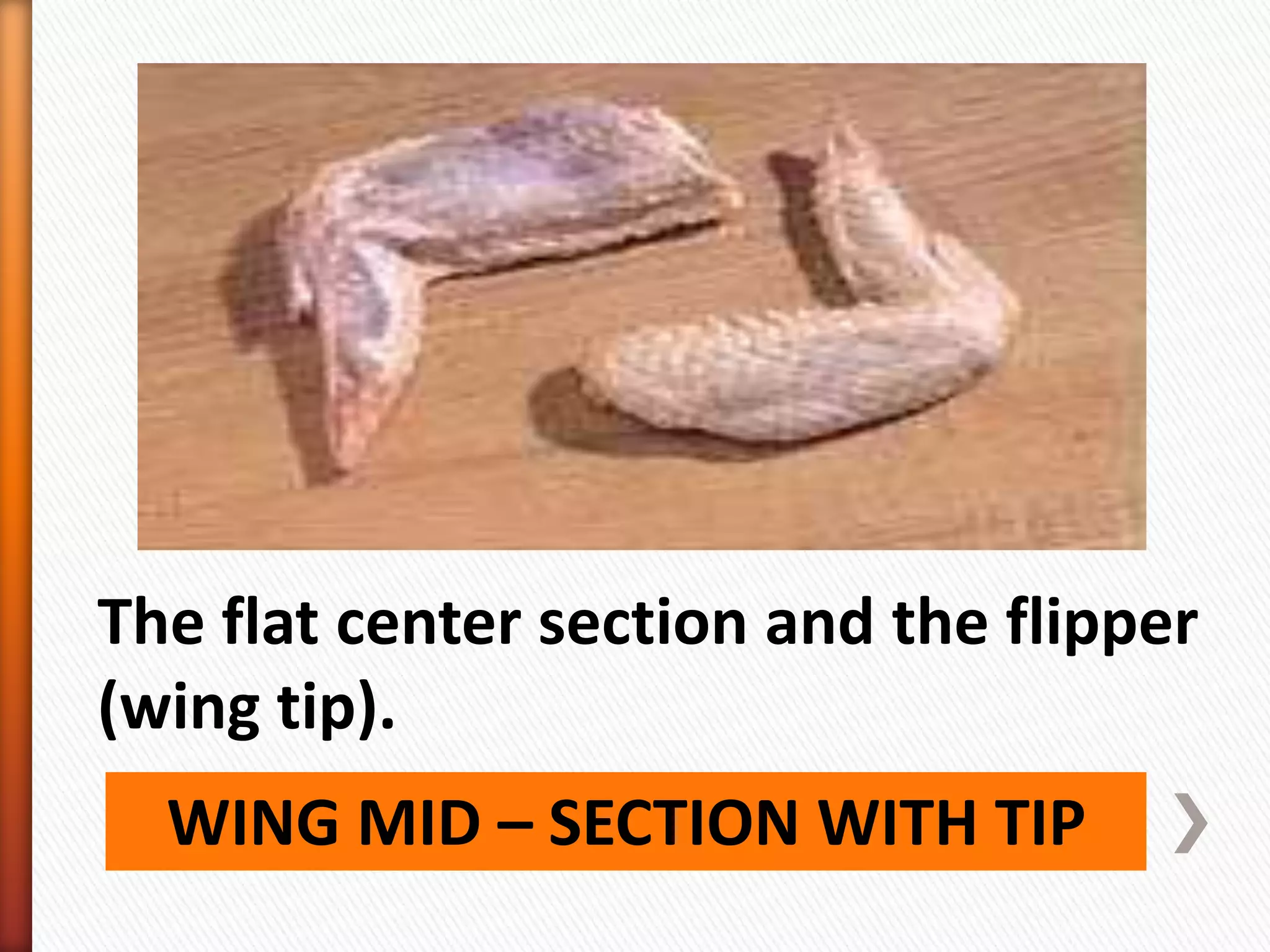 WING MID – SECTION WITH TIP
The flat center section and the flipper
(wing tip).
 