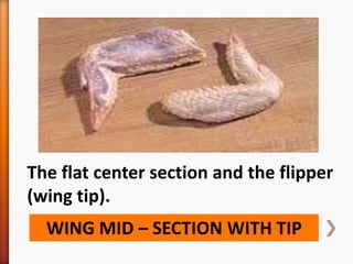 WING MID – SECTION WITH TIP
The flat center section and the flipper
(wing tip).
 