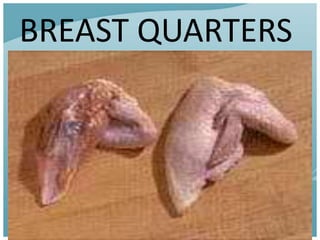 BREAST QUARTERS
 