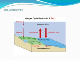 Different BIO - GEO cycle of eco system | PPTX